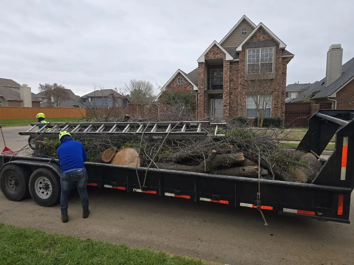 Expert Crown Reduction with proper safety equipment in Goose Lake